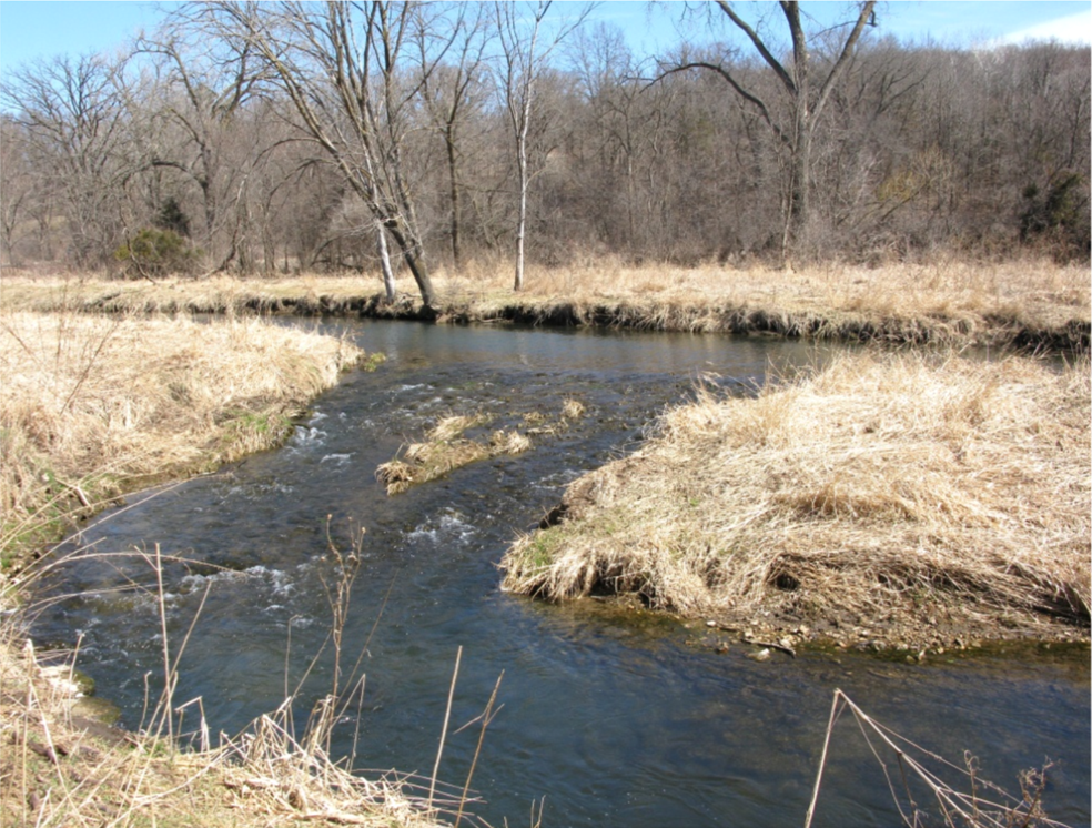 North Bear Creek Trout Stream - Iowa Natural Heritage Foundation