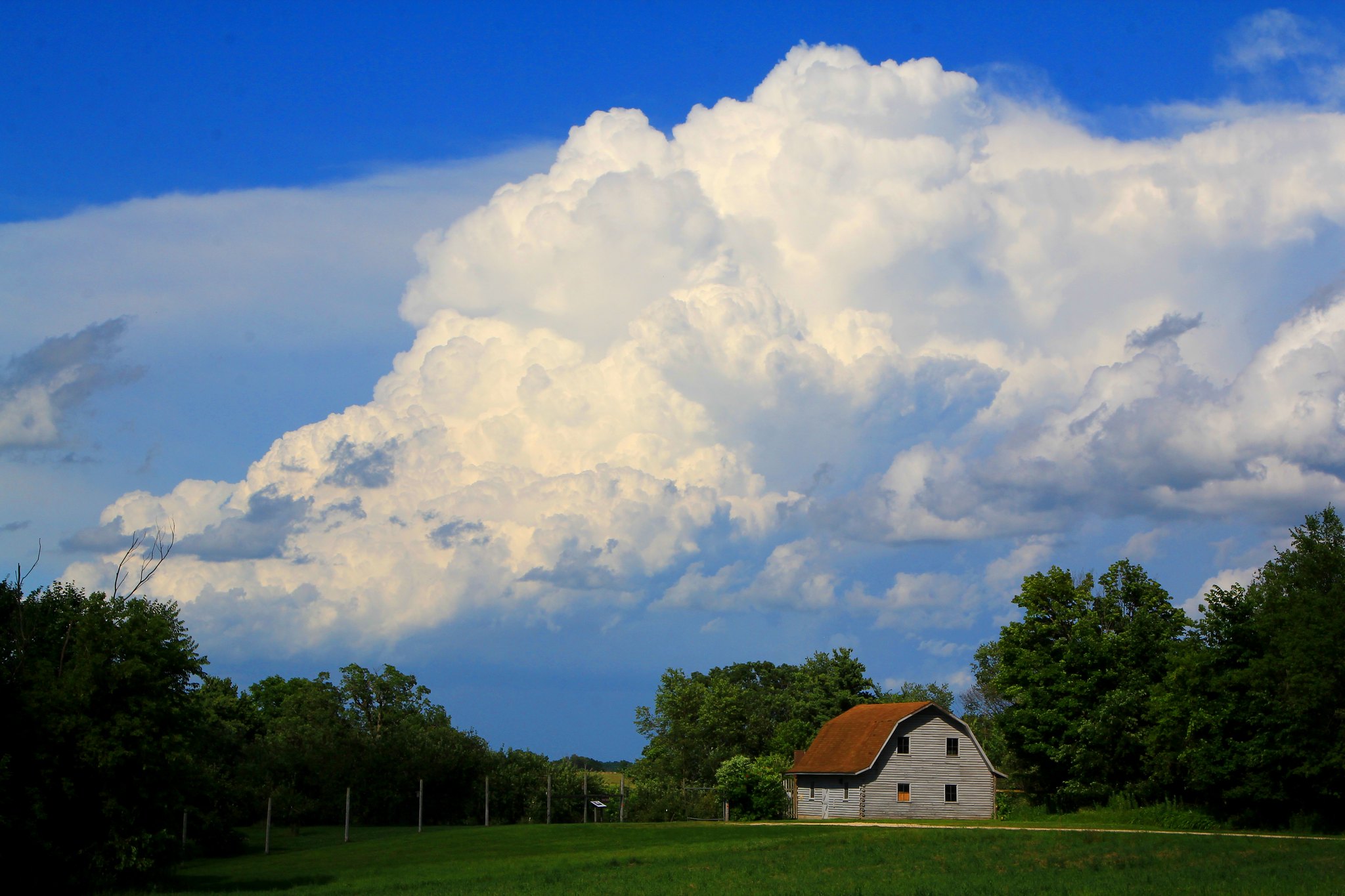 Acorn Crew: Clouds