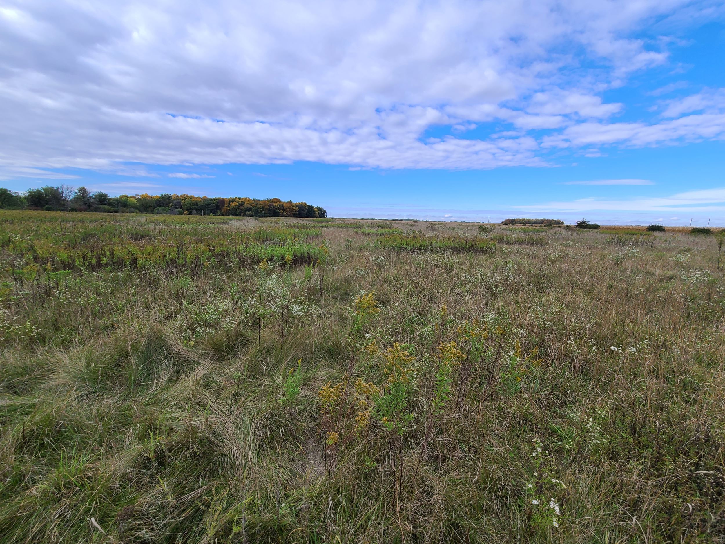 INHF protected 155 acres in Fayette County which includes a fen, sedge meadow and woodland. 